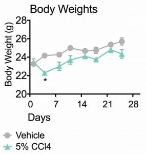 Body Weights