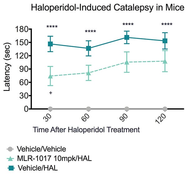 Pathology severity score of mice pre-treated with vehicle, bleomycin or bleomycin and nintedanib in the haloperidol-induced catalepsy model