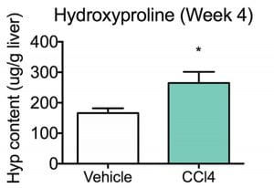 Hydroxyproline Content (week4)