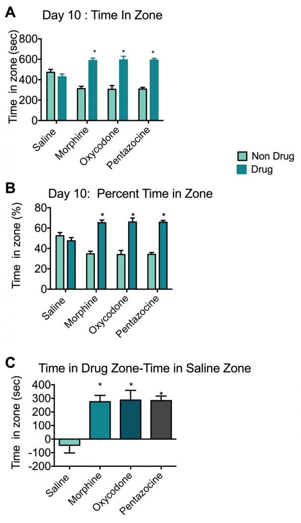 Time spent by animals in saline, morphine, oxycodone or pentazocine chambers during the conditioned place preference model.